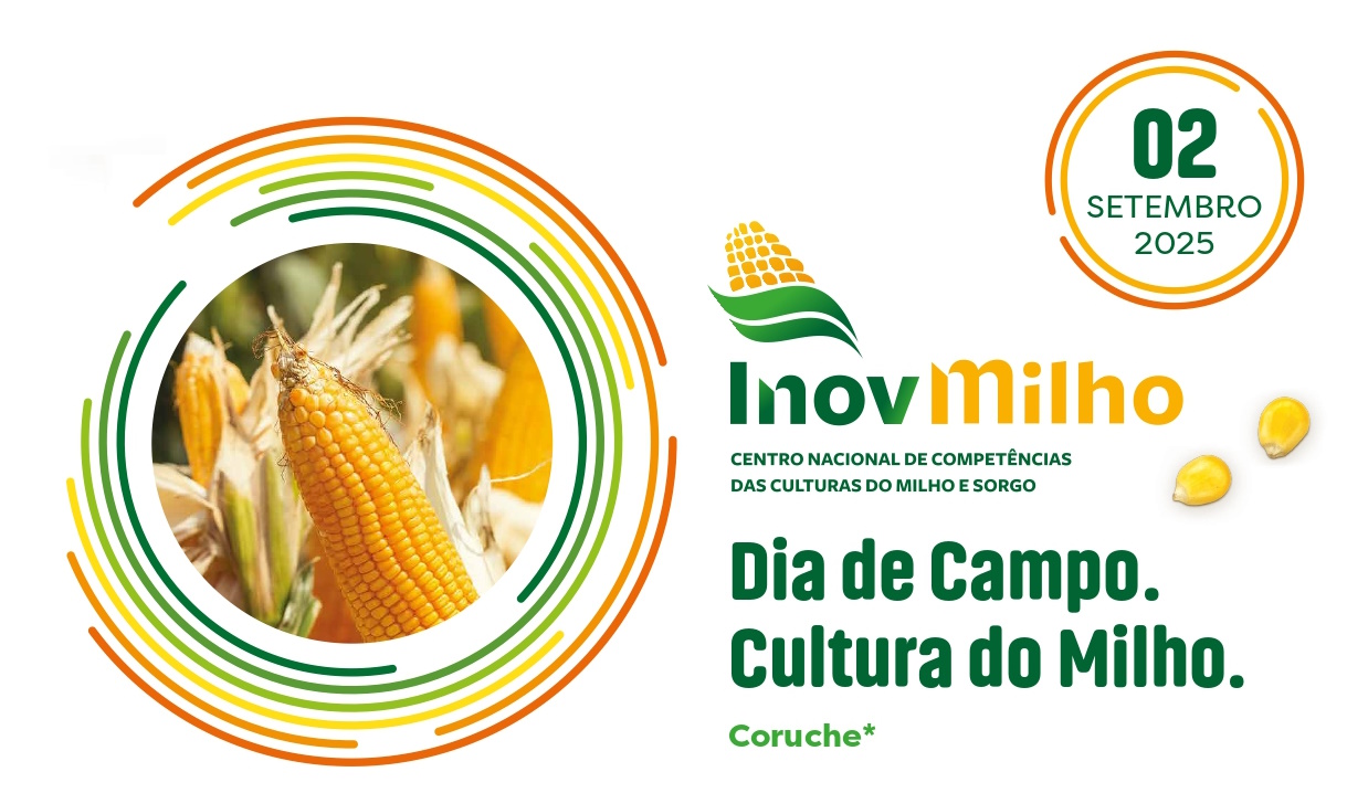 Dia de Campo - InovMilho 2025