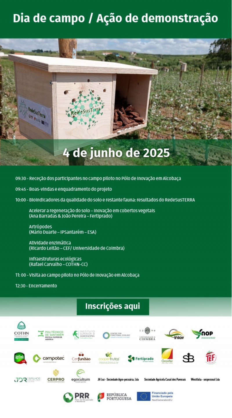Dia de campo / Ação de demonstração RedeSusTERRA Dia de campo / Ação de demonstração RedeSusTERRA