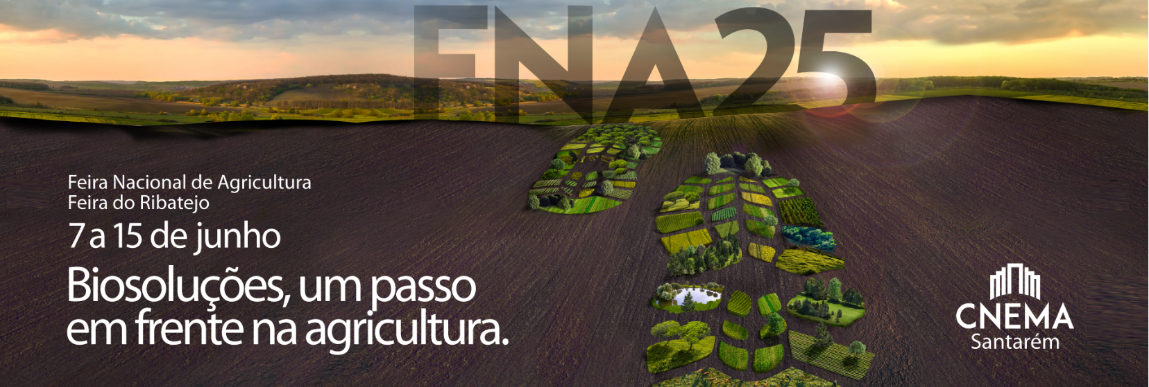Seminário de apresentação de resultados de projetos PRR - FNA 25