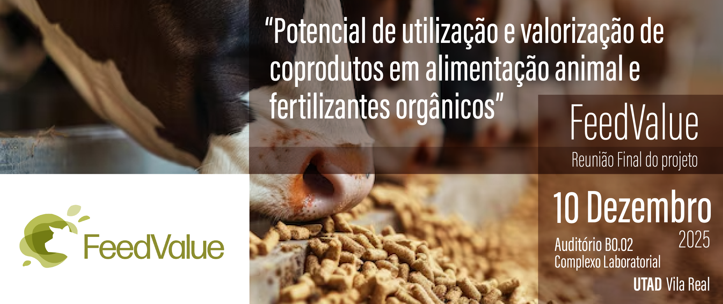 Seminário Final do projeto FeedValue