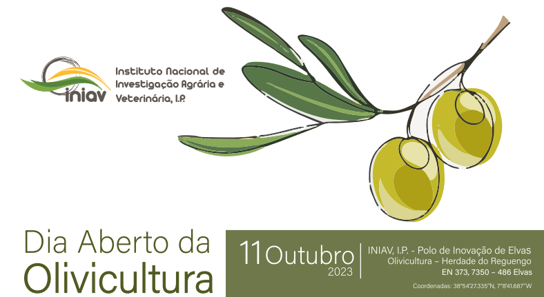 dia aberto da olivicultura 2023 elvas
