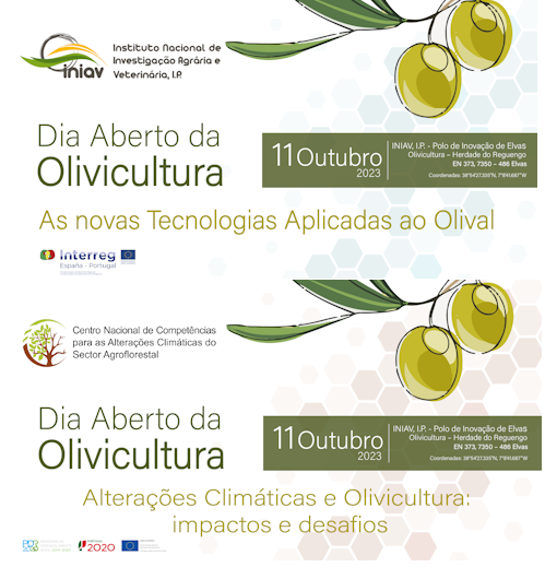 dia aberto da olivicultura 2023 elvas
