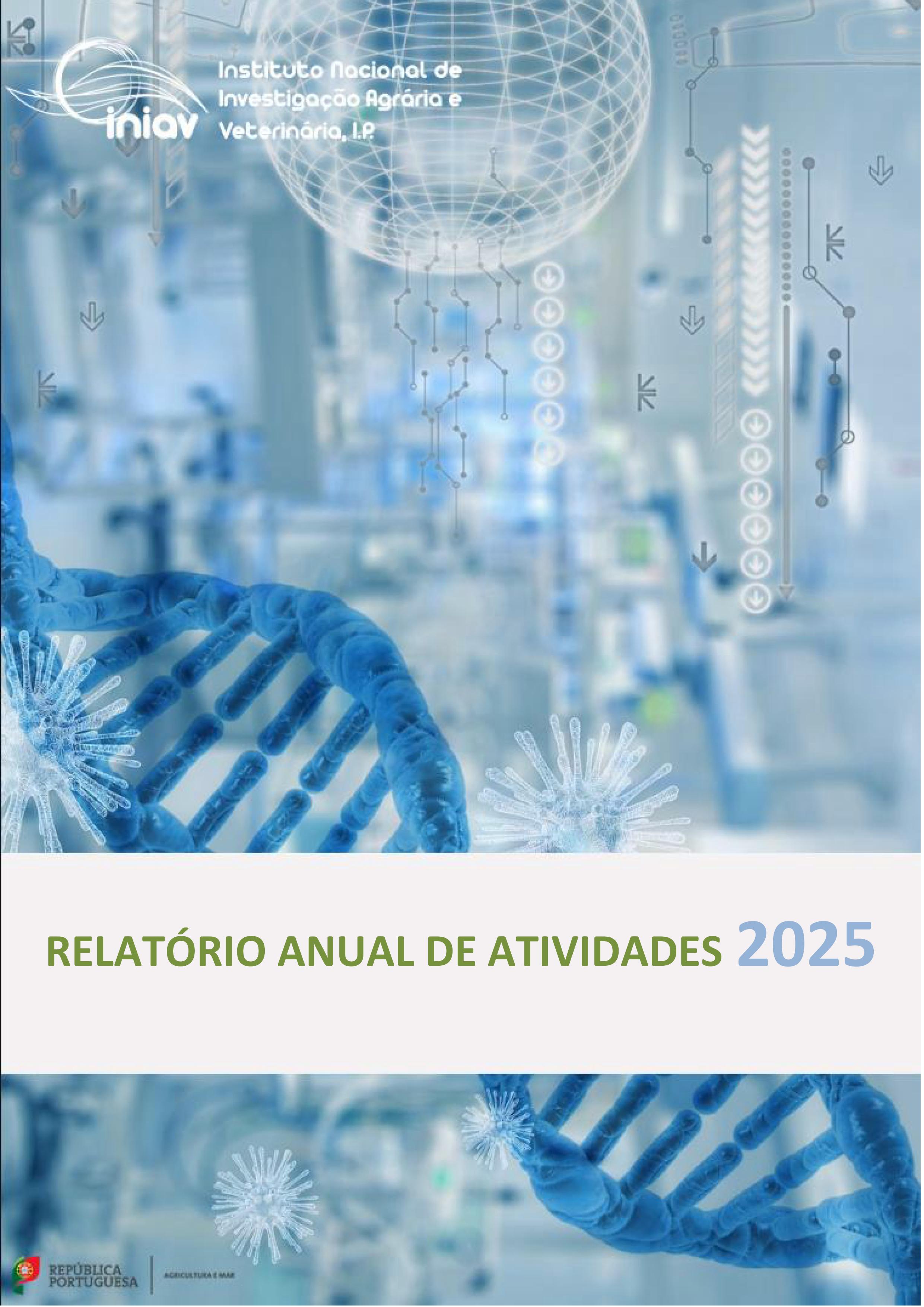 Relatório de Atividades 2024