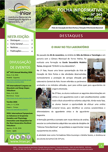 Folha Informativa de Dois Portos do mês de novembro 2025