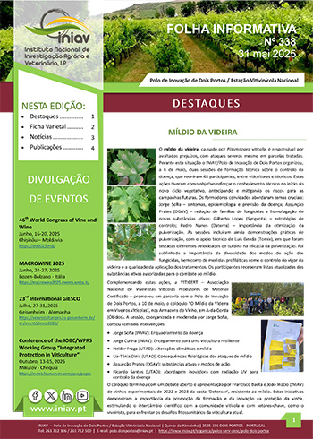 Folha Informativa nº 338 - 31 Maio 2025
