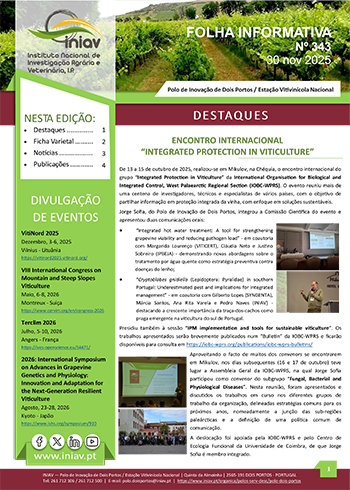 Folha Informativa nº 343 - 30 Novembro 2025