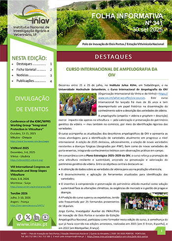 Folha Informativa nº 341 - setembro 2025