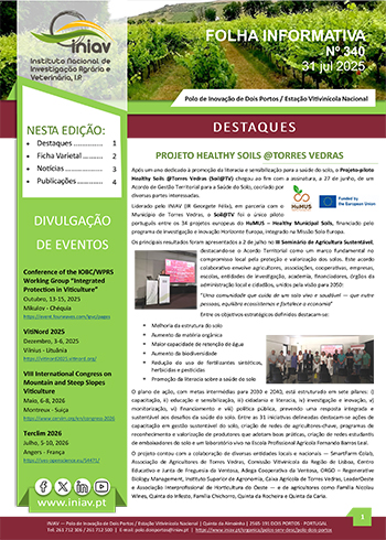 Folha Informativa nº 340 - Julho 2025
