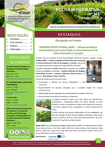 Folha Informativa de Dois Portos do mês de novembro 2025 Folha Informativa de Dois Portos do mês de novembro 2025