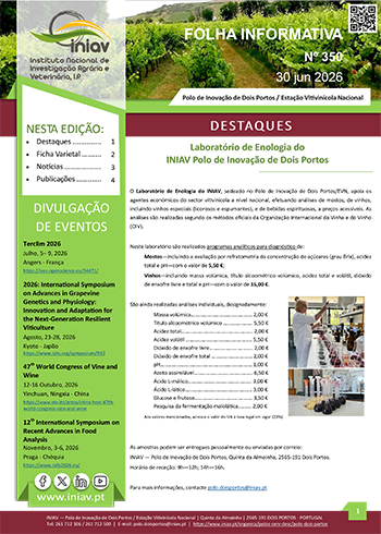 Folha Informativa de Dois Portos do mês de Junho 2026
