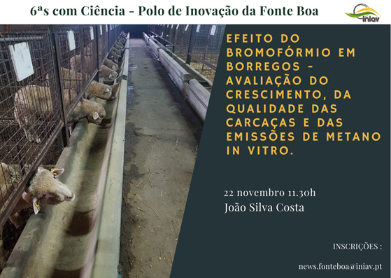 Palestra "Efeito do Bromofórmio em borregos – Avaliação do crescimento, da qualidade das carcaças e das emissões de metano in vitro"