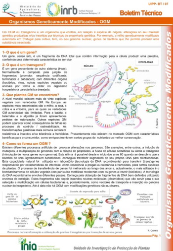 Organismos Geneticamente Modificados - OGM