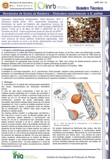Nemátodos de Quisto da Batateira – Globodera rostochiensis e G. pallida