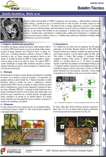 Xylella fastidiosa, Wells et al.