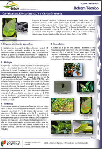 Candidatus Liberibacter sp e o Citrus Greening