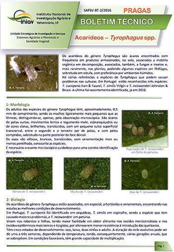 Acarídeos – Tyrophagus spp.
