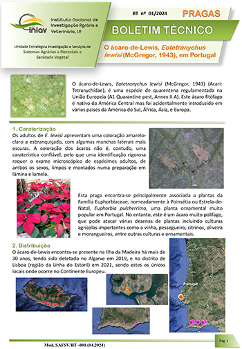 Boletim Técnico n.º 1/2024 - "O ácaro-de-Lewis, Eotetranychus lewisi (McGregor, 1943), em Portugal" Boletim Técnico n.º 1/2024 - "O ácaro-de-Lewis, Eotetranychus lewisi (McGregor, 1943), em Portugal"