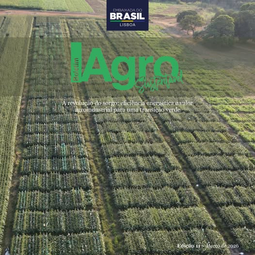 11.ª edição do Boletim Agro Sustentável