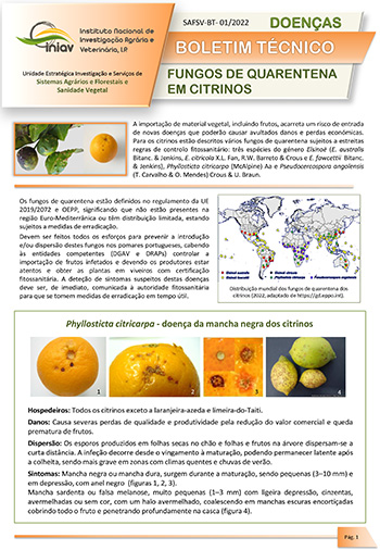 2022 BT 01 Fungos quarentena citrinos
