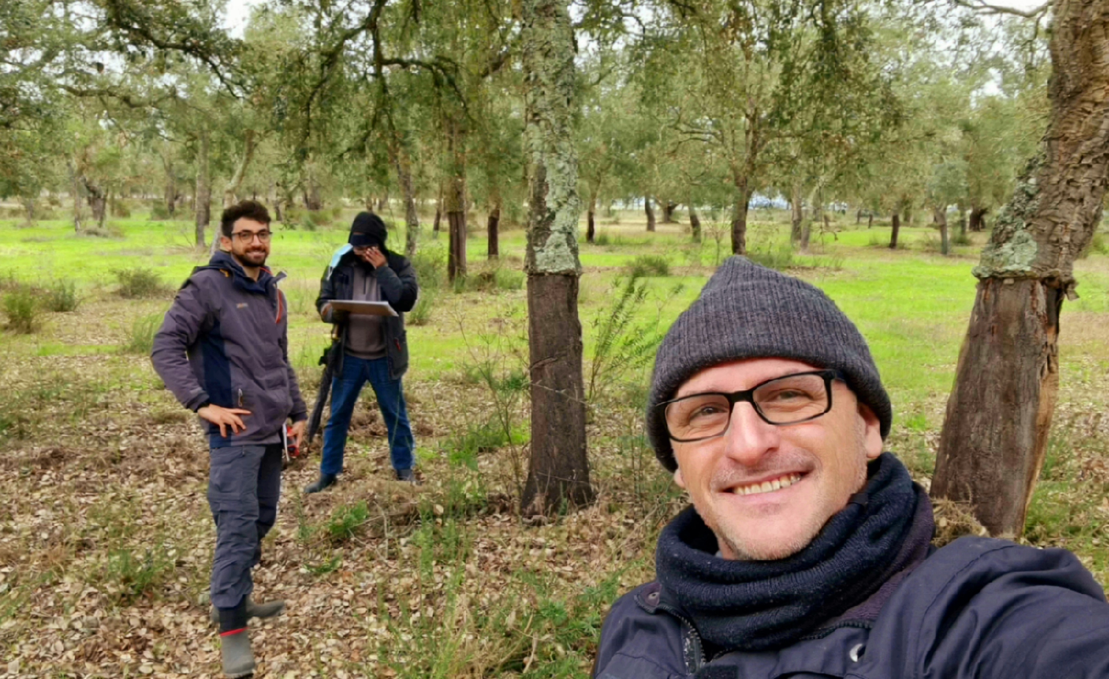 Recent and high grazing pressure limit cork oak seedling resprouting and survival
