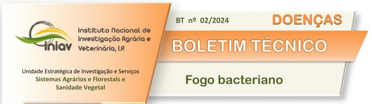 Boletim técnico atualizado sobre o fogo bacteriano (BT nº. 02/2024)