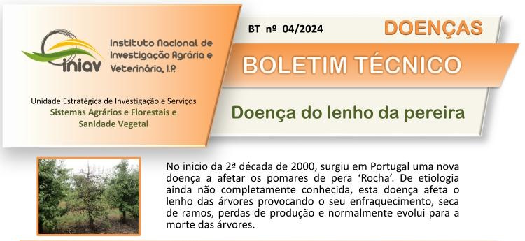 Boletim técnico atualizado sobre Doença do lenho da pereira (BT nº. 04/2024)