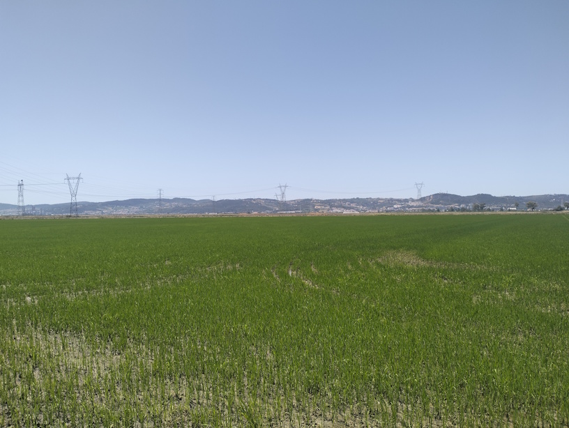 projeto AGROSALT na Lezíria Grande de Vila Franca de Xira