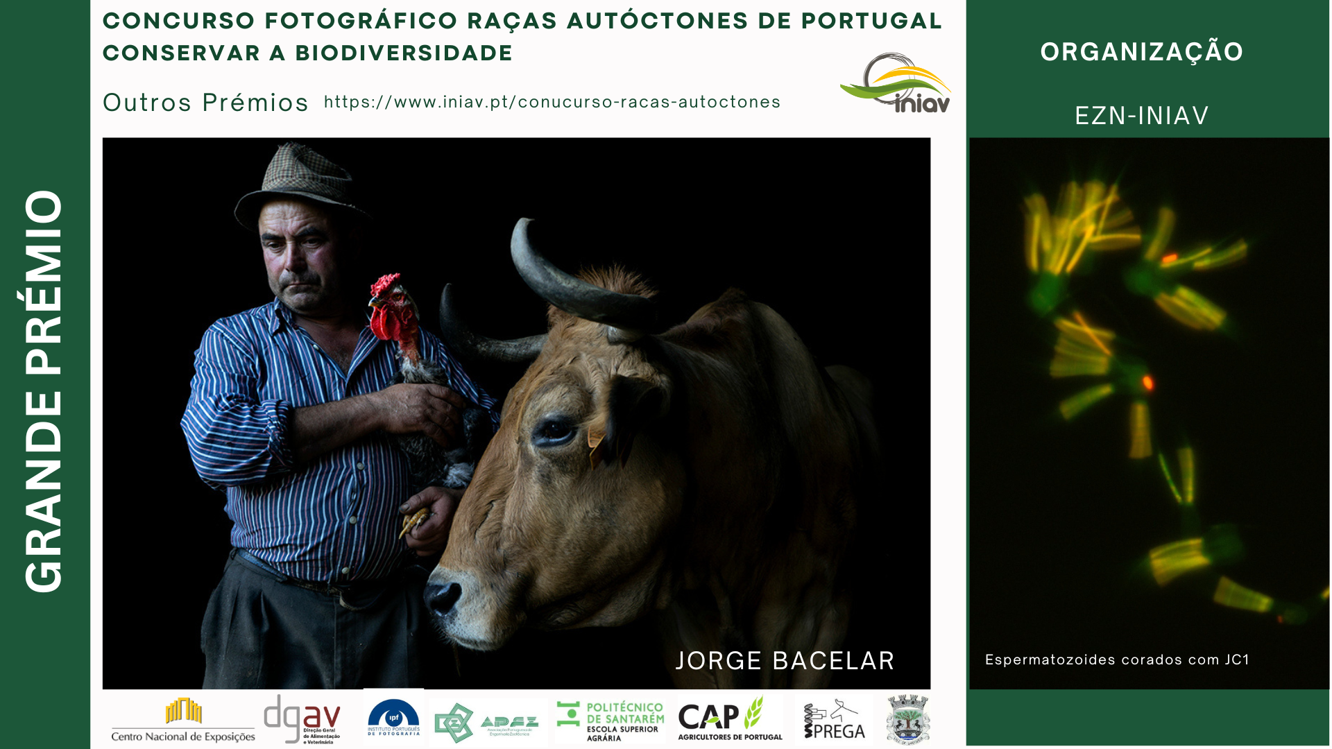 Concurso Fotografico Racas Animais Autoctones de Portugal Conservar a Biodiversidade