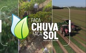 Presidente do Conselho Científico do INIAV no programa Faça Chuva Faça Sol da RTP