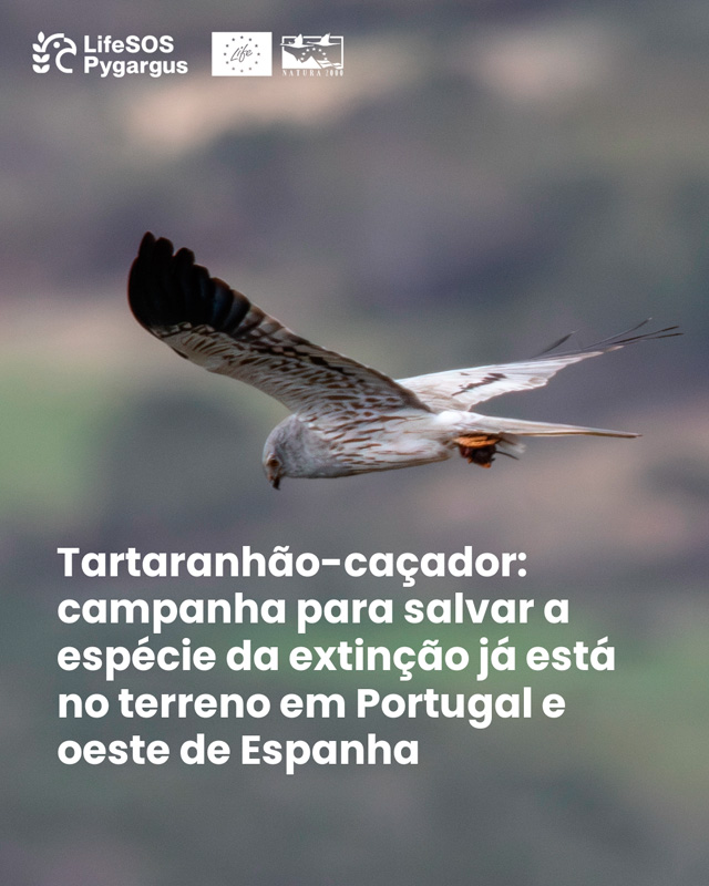 Comunicado de imprensa 