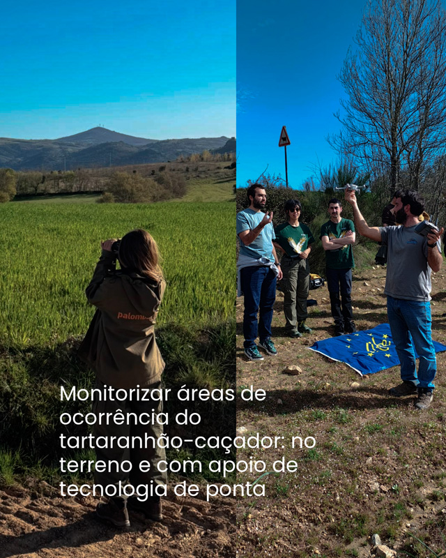 Comunicado de imprensa 