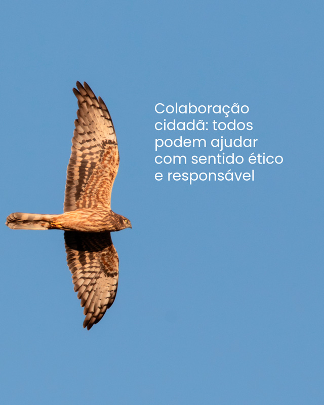 Comunicado de imprensa 