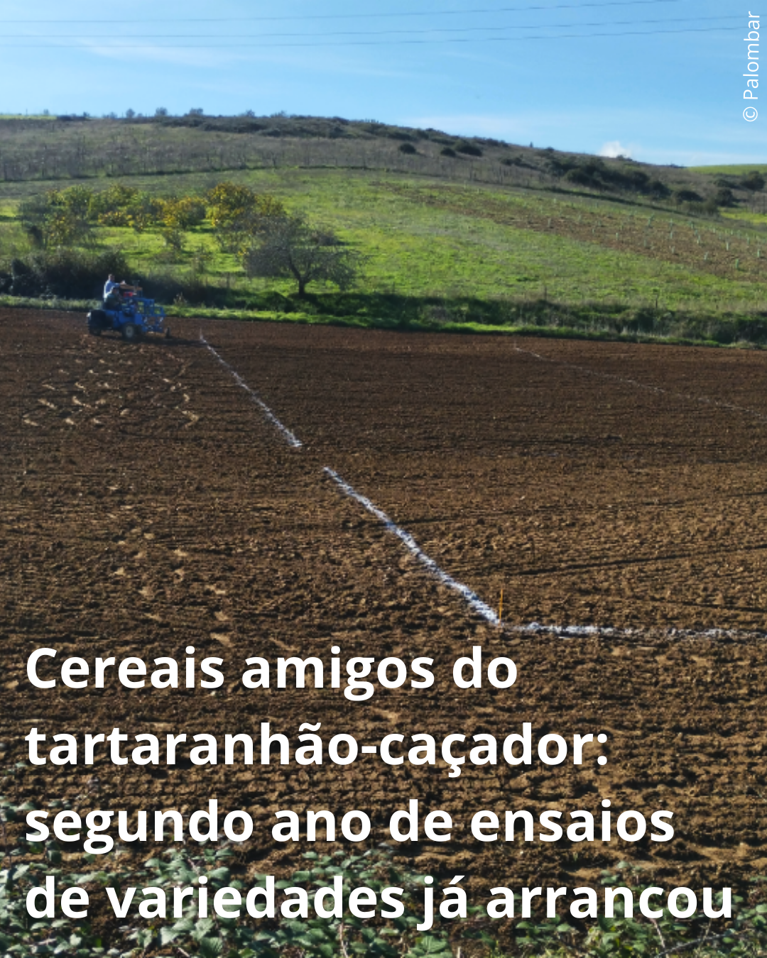 1 CI campanha 2025 suportes RS