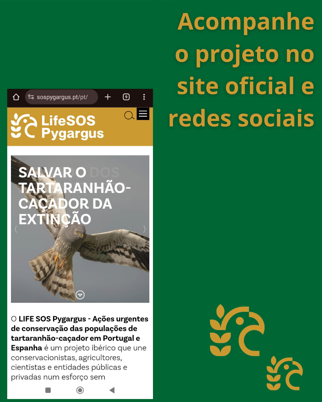 1 CI campanha 2025 suportes RS