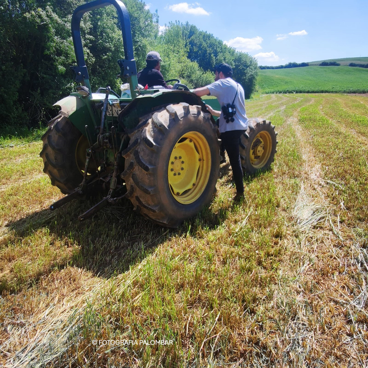 Sensibilização e colaboração agricultor local fotografia Palombar