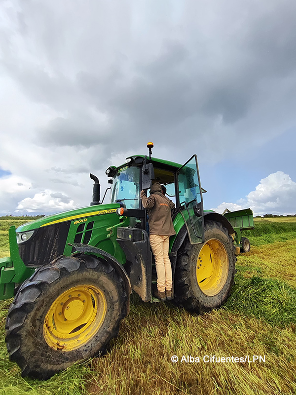Sensibilização dos agricultores para a importância de proteger a espécie e para os serviços que presta aos ecossistemas, nomeadamente o controlo de pragas agrícolas. Fotografia Palombar.