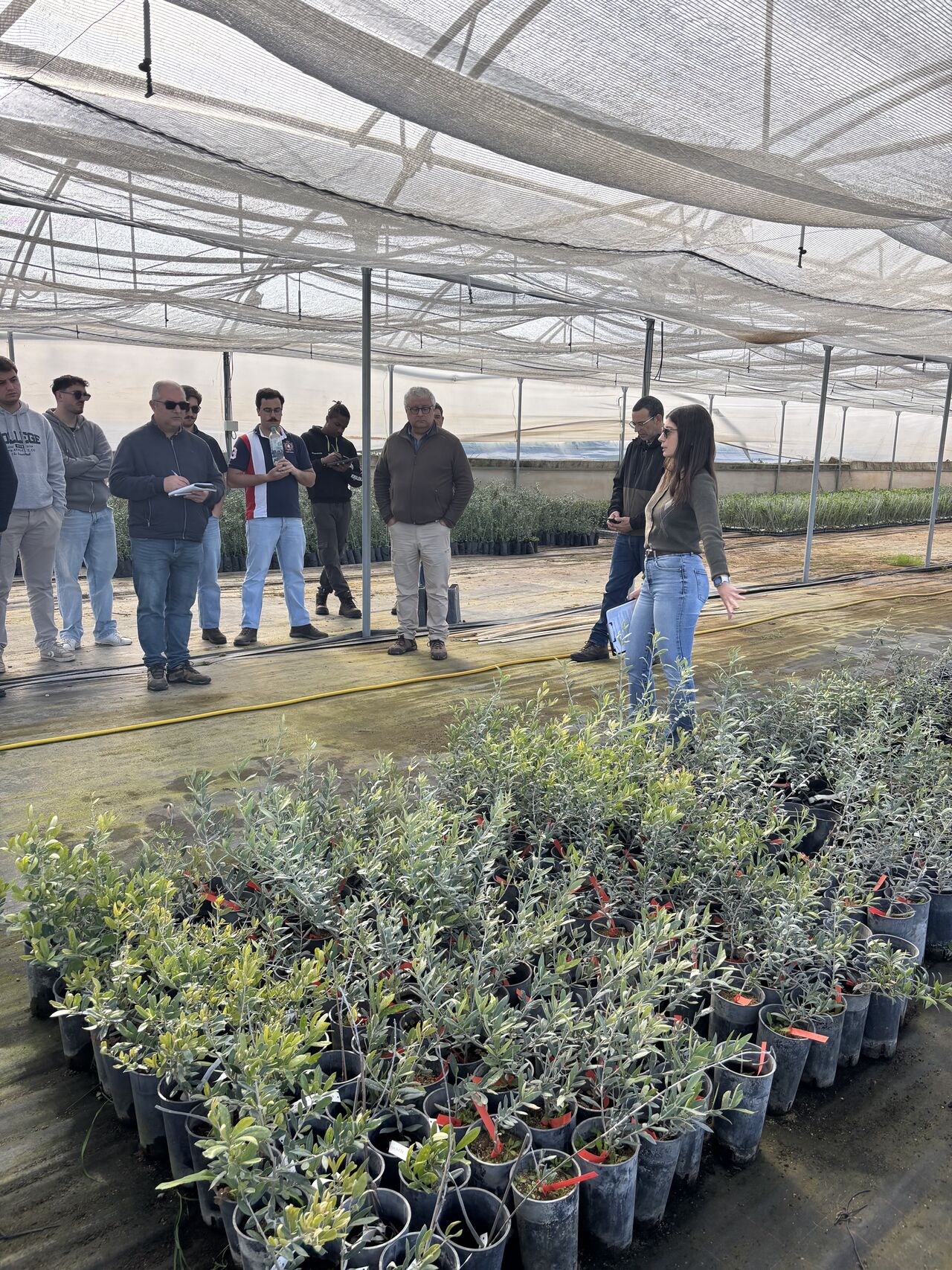 Receção dos alunos do 2.º ano da Licenciatura de Agronomia do Instituto Politécnico de Portalegre - Escola Superior de Biociências de Elvas Receção dos alunos do 2.º ano da Licenciatura de Agronomia do Instituto Politécnico de Portalegre - Escola Superior de Biociências de Elvas