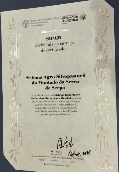 Montado da Serra de Serpa reconhecido pela FAO como GIAHS / SIPAM – Sistemas Importantes do Património Agrícola Mundial