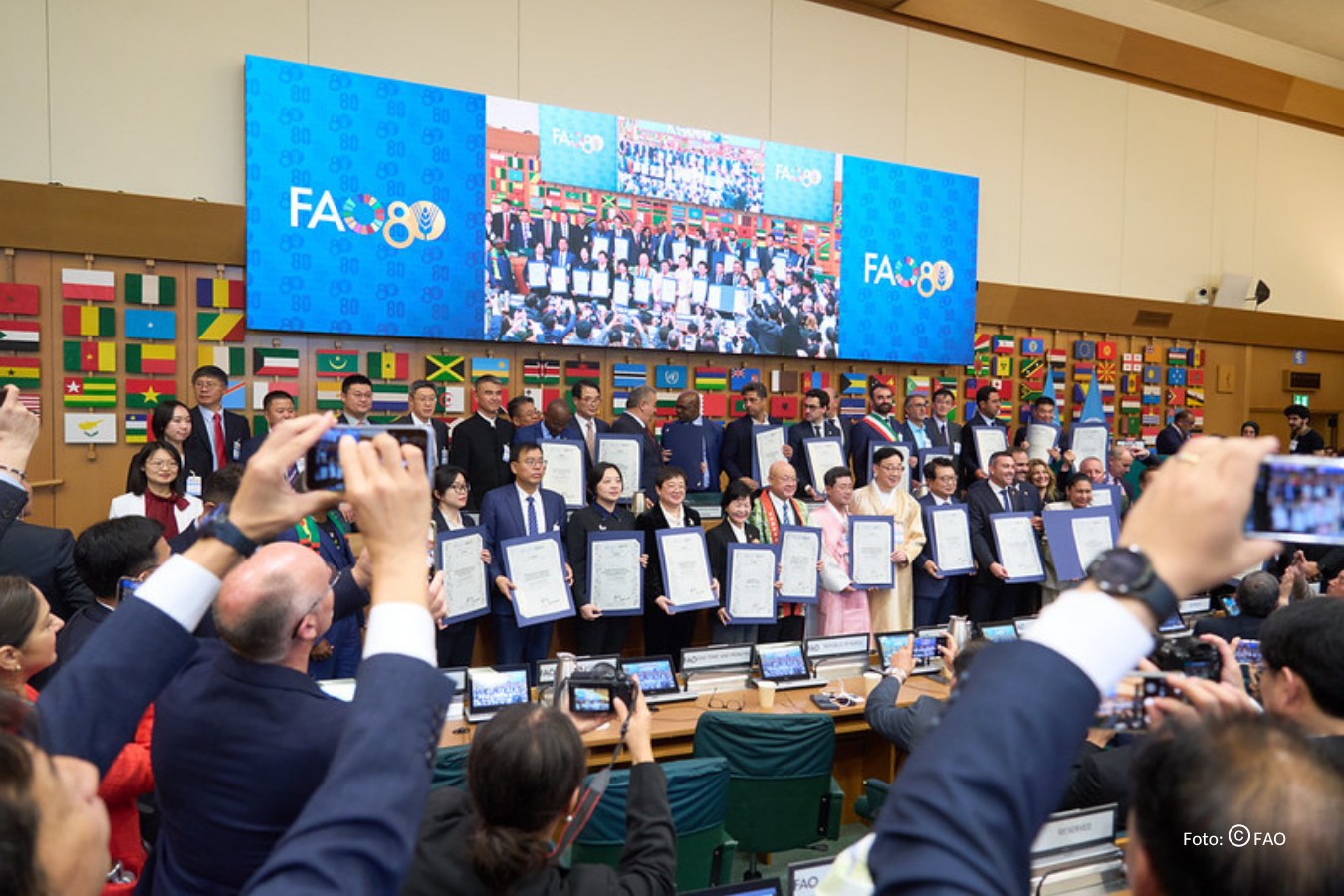 Montado da Serra de Serpa reconhecido pela FAO como GIAHS / SIPAM – Sistemas Importantes do Património Agrícola Mundial