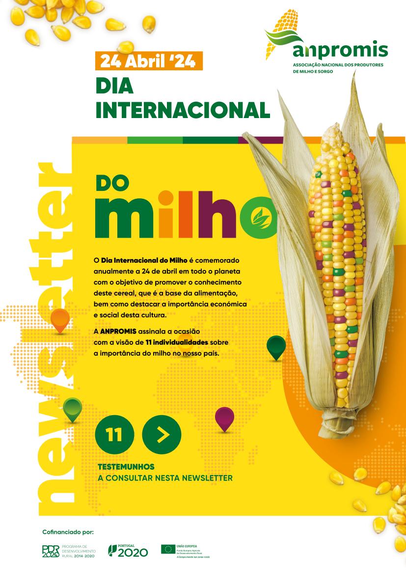 Newsletter Dia Internacinal do Milho 2024