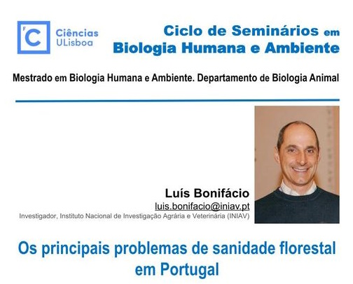 Os principais problemas de sanidade florestal em Portugal