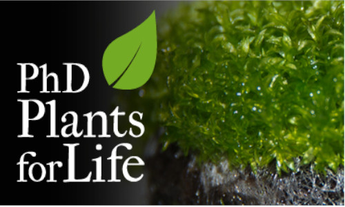 GREEN-IT scholarships available for the PhD Programme Plants for Life