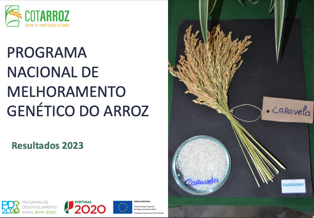 Programa Nacional de Melhoramento Genético do Arroz - Resultados 2023