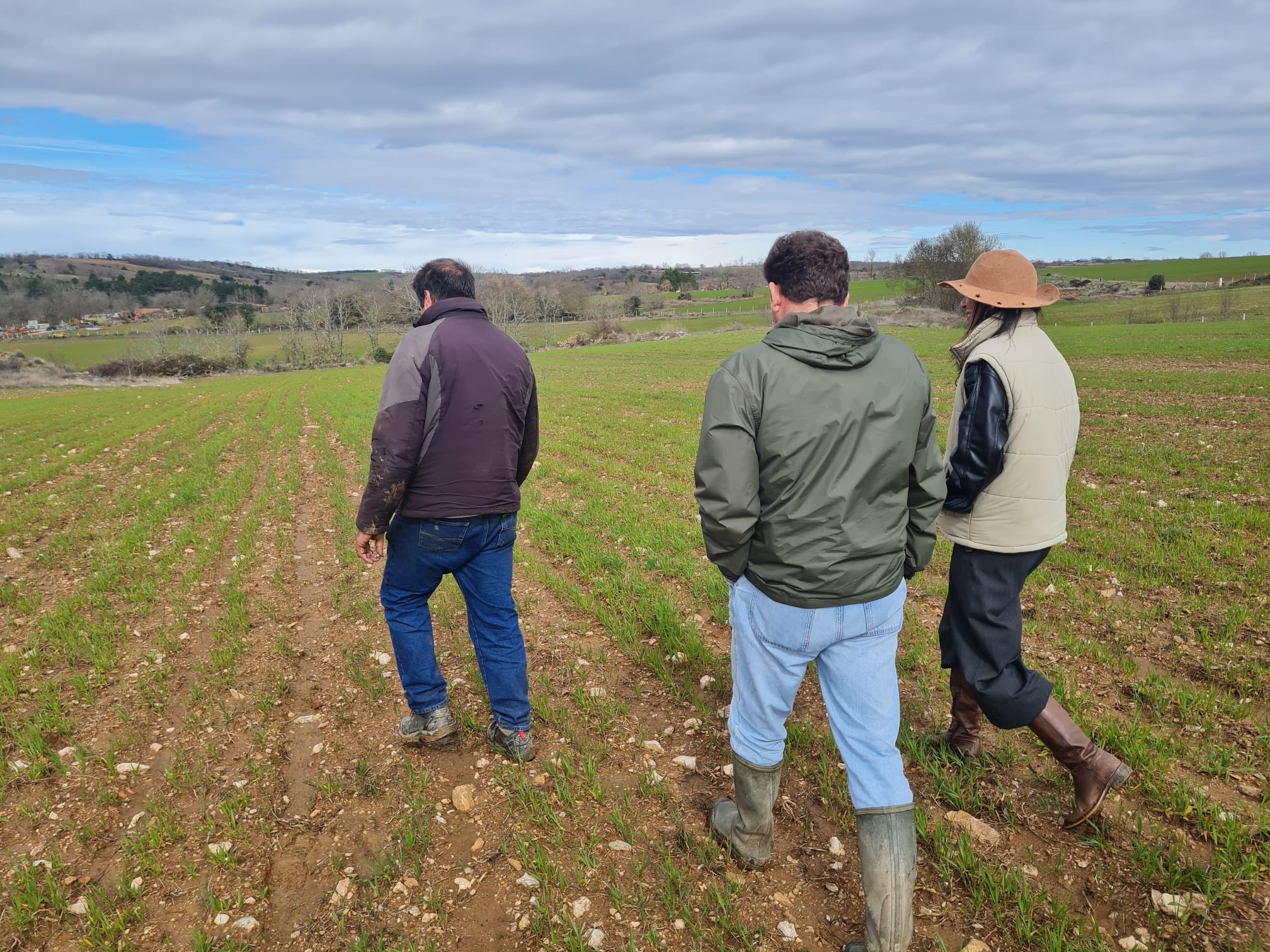 Investigadores do INIAV-Elvas acompanham ensaios do projeto SOS PYGARGUS Investigadores do INIAV-Elvas acompanham ensaios do projeto SOS PYGARGUS