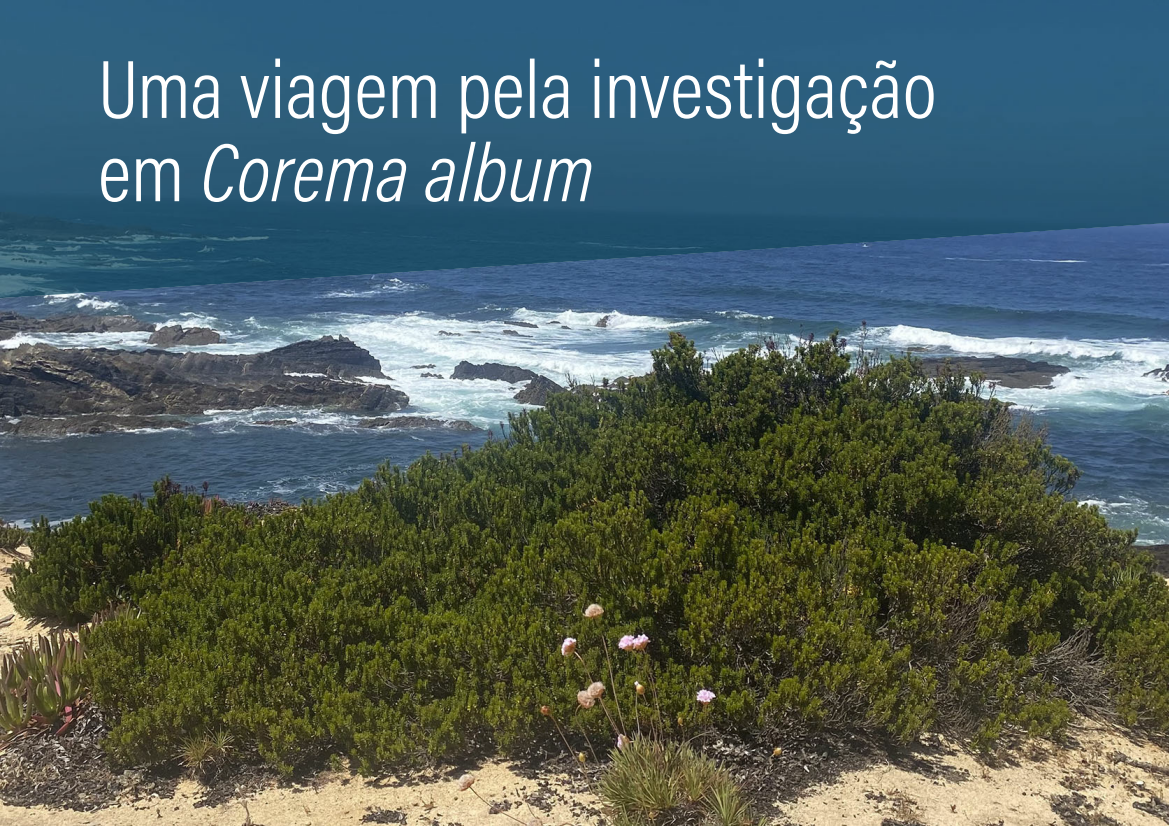 Uma viagem pela investigação em Corema album