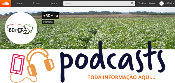 Podcasts BDMira