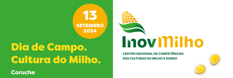 Dia de Campo do InovMilho (13.09.2024)