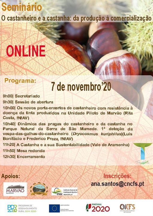 O Castanheiro e a castanha da produção à comercialização