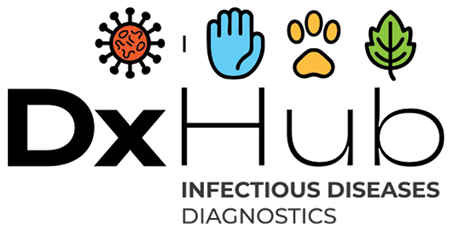 DxHub - Connecting Greek and Portuguese Innovation ... Imagem 1