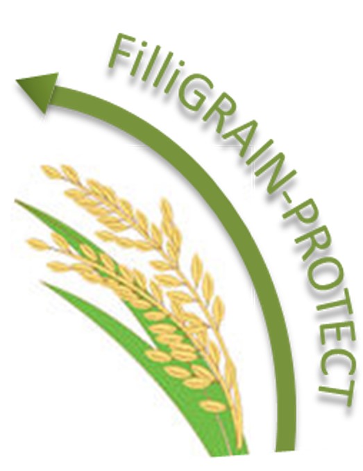 FilliGRAIN-PROTECT – Using the power of plant ... Imagem 1